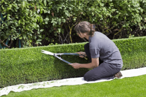Hedge cutting