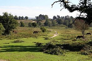 geograph 246257 by Richard Thomas