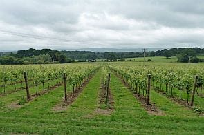 geograph 2471598 by Robin Webster
