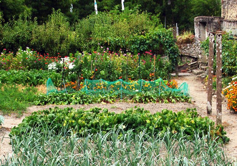 Gardening, West Sussex, East Sussex