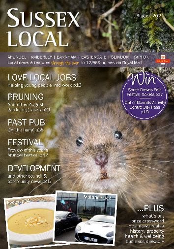 Sussex Local Arundel Barnham August 2021