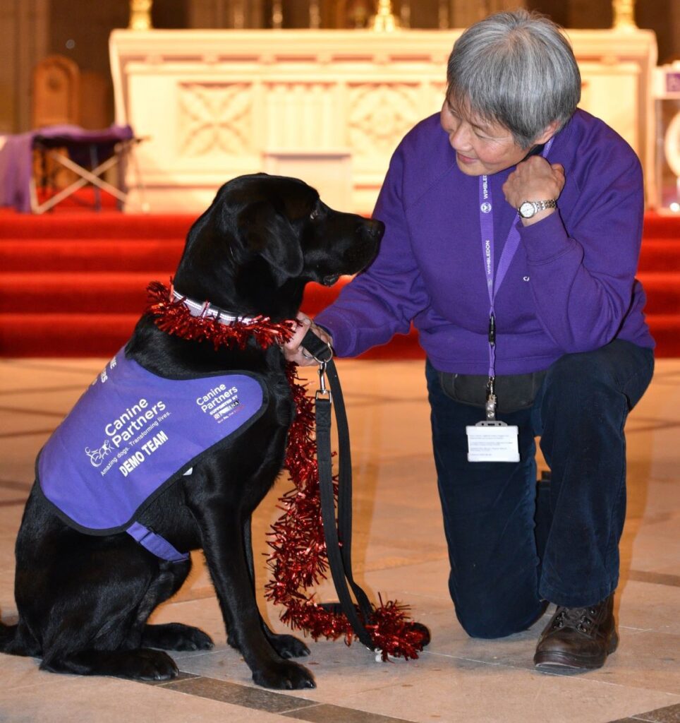 Canine Partners Arundel Carols 2022 sponsored by pets corner