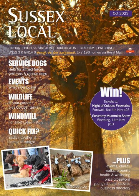 FIN OCT 23 - Autumn colours