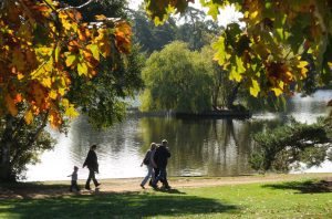 Big boost for community projects to begin 2025 1 Petersfield Heath by Anne Purkiss
