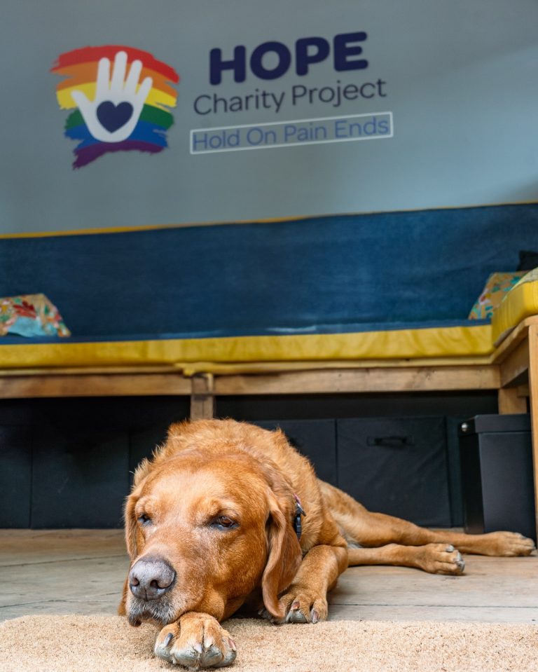 Home Page 4 Rudi support Dog
